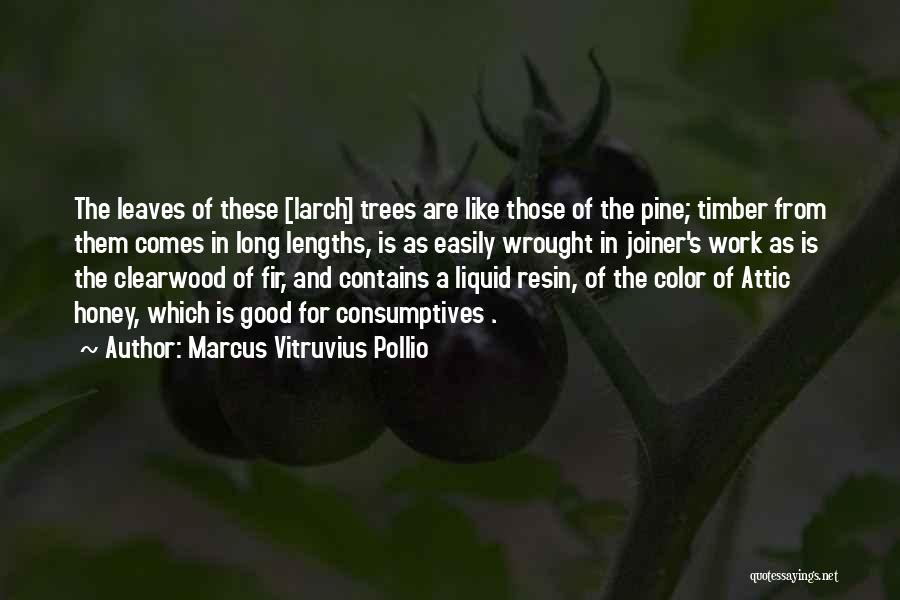 Marcus Vitruvius Pollio Quotes: The Leaves Of These [larch] Trees Are Like Those Of The Pine; Timber From Them Comes In Long Lengths, Is