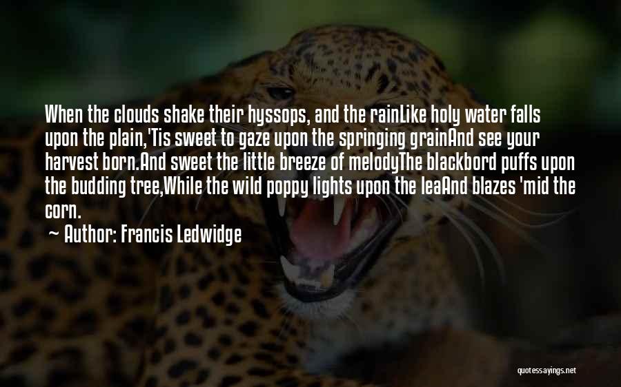 Francis Ledwidge Quotes: When The Clouds Shake Their Hyssops, And The Rainlike Holy Water Falls Upon The Plain,'tis Sweet To Gaze Upon The