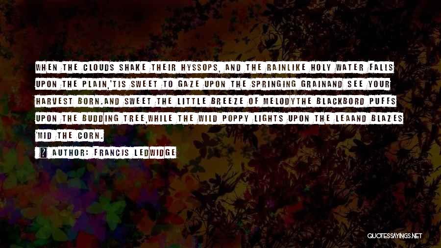 Francis Ledwidge Quotes: When The Clouds Shake Their Hyssops, And The Rainlike Holy Water Falls Upon The Plain,'tis Sweet To Gaze Upon The