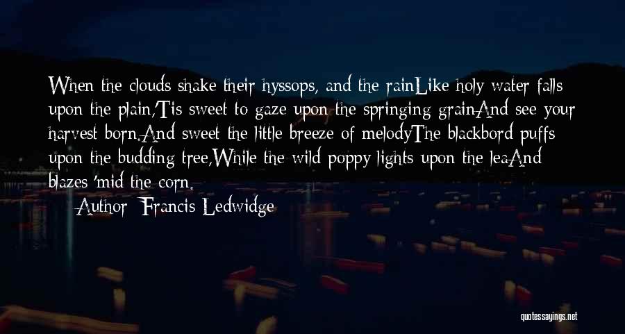 Francis Ledwidge Quotes: When The Clouds Shake Their Hyssops, And The Rainlike Holy Water Falls Upon The Plain,'tis Sweet To Gaze Upon The