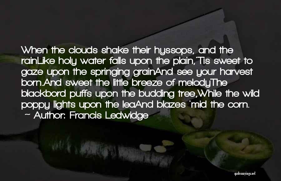 Francis Ledwidge Quotes: When The Clouds Shake Their Hyssops, And The Rainlike Holy Water Falls Upon The Plain,'tis Sweet To Gaze Upon The