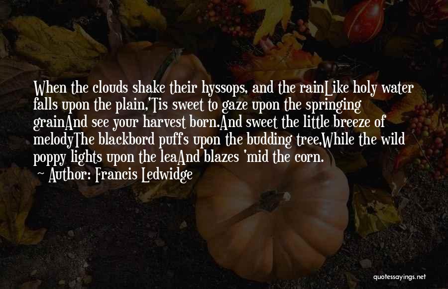 Francis Ledwidge Quotes: When The Clouds Shake Their Hyssops, And The Rainlike Holy Water Falls Upon The Plain,'tis Sweet To Gaze Upon The