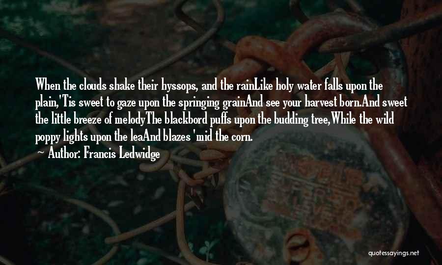 Francis Ledwidge Quotes: When The Clouds Shake Their Hyssops, And The Rainlike Holy Water Falls Upon The Plain,'tis Sweet To Gaze Upon The