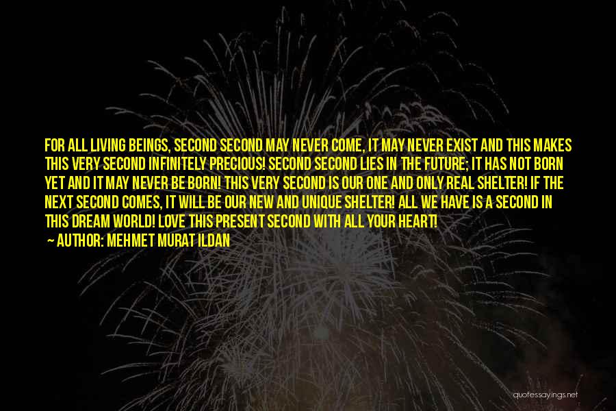 Mehmet Murat Ildan Quotes: For All Living Beings, Second Second May Never Come, It May Never Exist And This Makes This Very Second Infinitely