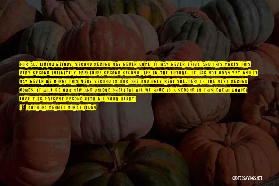 Mehmet Murat Ildan Quotes: For All Living Beings, Second Second May Never Come, It May Never Exist And This Makes This Very Second Infinitely