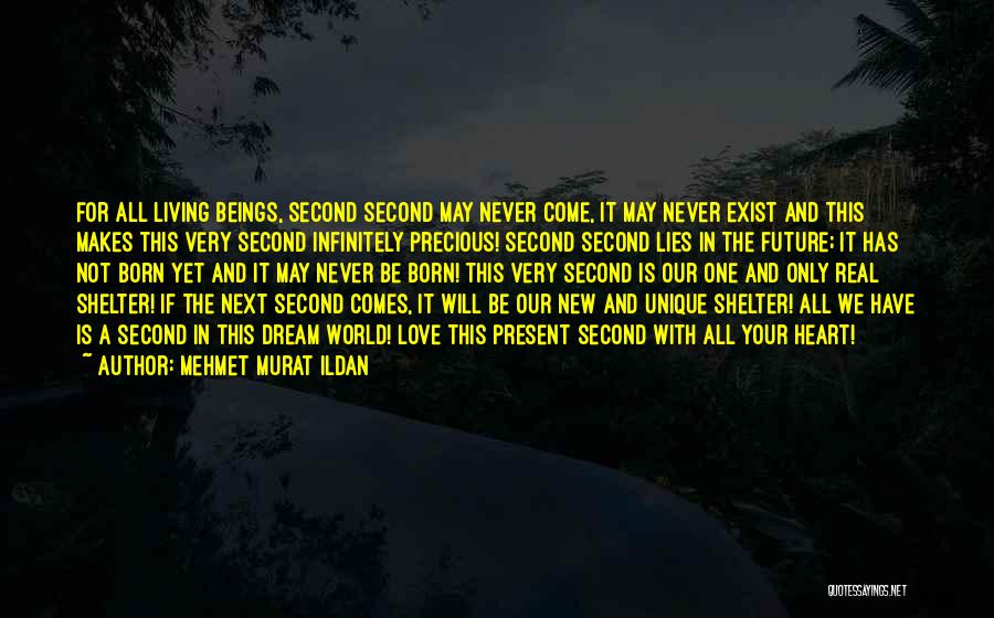 Mehmet Murat Ildan Quotes: For All Living Beings, Second Second May Never Come, It May Never Exist And This Makes This Very Second Infinitely