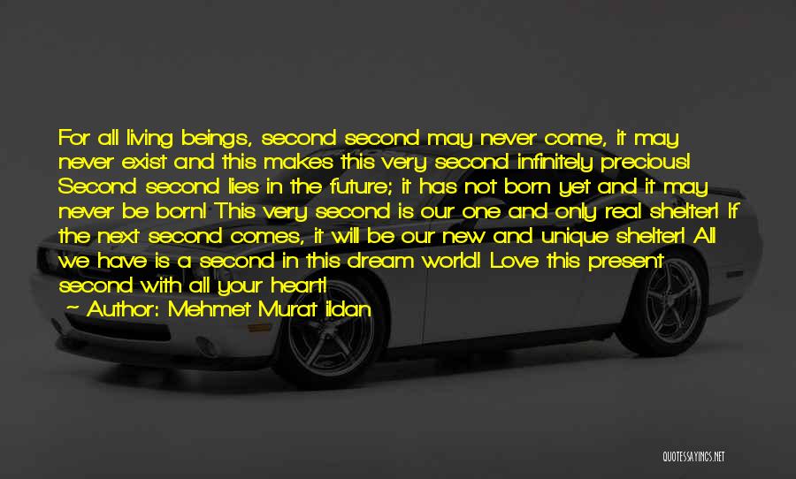 Mehmet Murat Ildan Quotes: For All Living Beings, Second Second May Never Come, It May Never Exist And This Makes This Very Second Infinitely