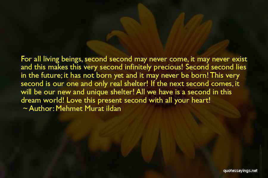 Mehmet Murat Ildan Quotes: For All Living Beings, Second Second May Never Come, It May Never Exist And This Makes This Very Second Infinitely