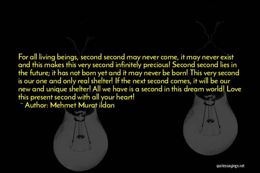 Mehmet Murat Ildan Quotes: For All Living Beings, Second Second May Never Come, It May Never Exist And This Makes This Very Second Infinitely