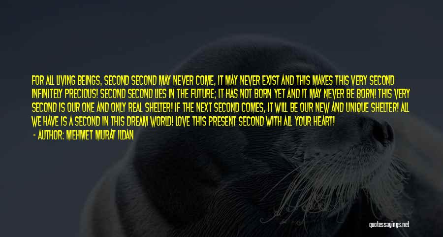 Mehmet Murat Ildan Quotes: For All Living Beings, Second Second May Never Come, It May Never Exist And This Makes This Very Second Infinitely