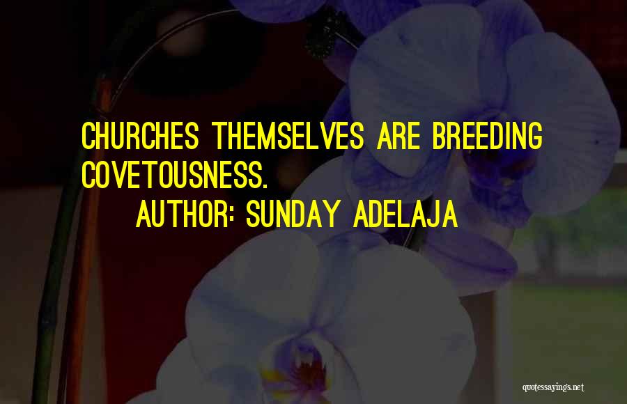 Sunday Adelaja Quotes: Churches Themselves Are Breeding Covetousness.