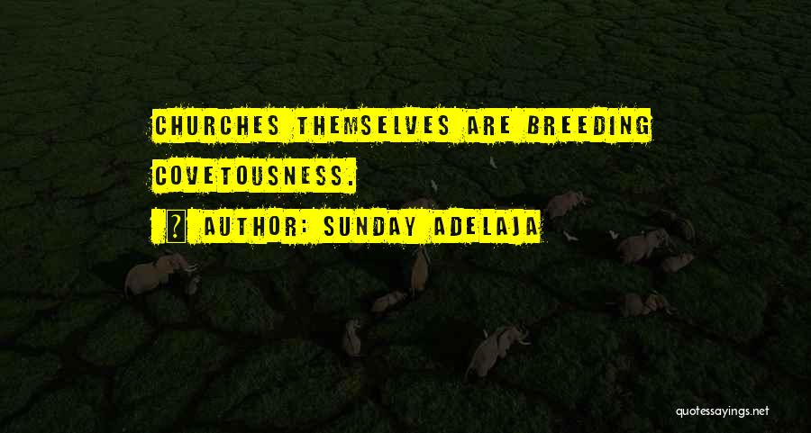 Sunday Adelaja Quotes: Churches Themselves Are Breeding Covetousness.