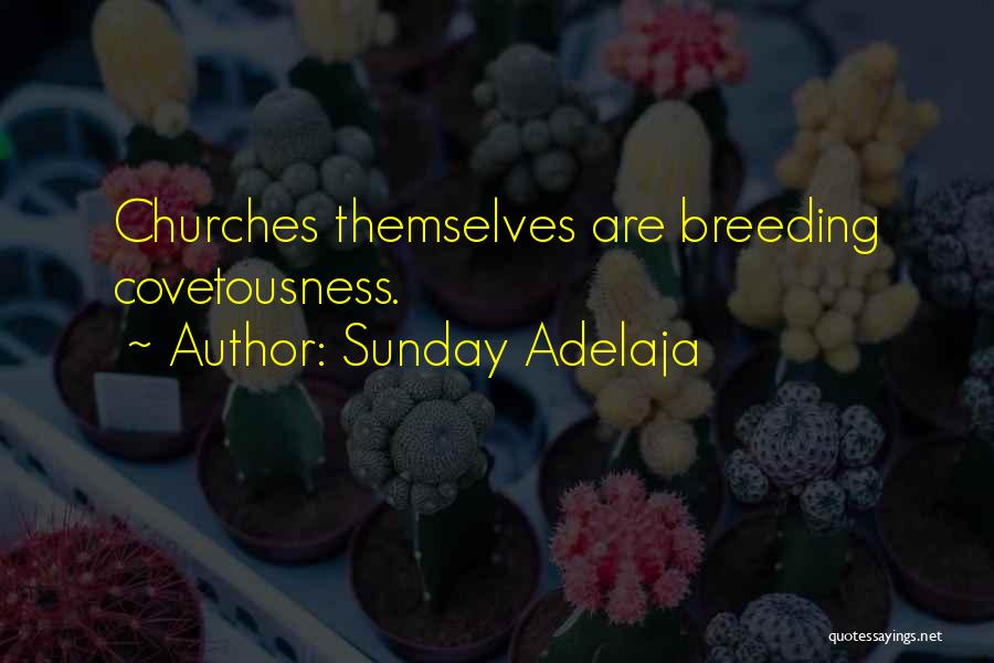 Sunday Adelaja Quotes: Churches Themselves Are Breeding Covetousness.