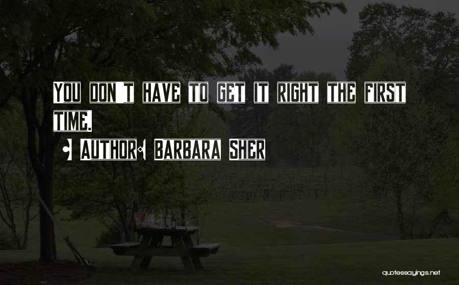 Barbara Sher Quotes: You Don't Have To Get It Right The First Time.