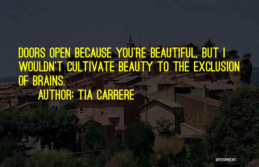 Tia Carrere Quotes: Doors Open Because You're Beautiful, But I Wouldn't Cultivate Beauty To The Exclusion Of Brains.