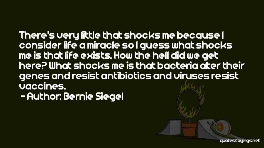 Bernie Siegel Quotes: There's Very Little That Shocks Me Because I Consider Life A Miracle So I Guess What Shocks Me Is That