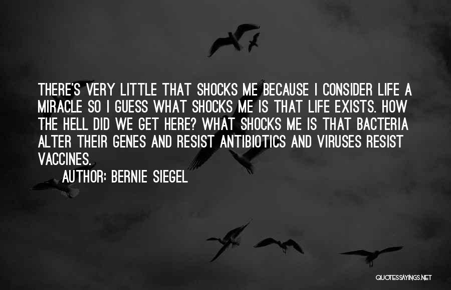 Bernie Siegel Quotes: There's Very Little That Shocks Me Because I Consider Life A Miracle So I Guess What Shocks Me Is That