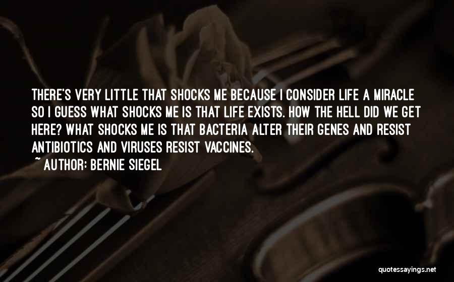 Bernie Siegel Quotes: There's Very Little That Shocks Me Because I Consider Life A Miracle So I Guess What Shocks Me Is That