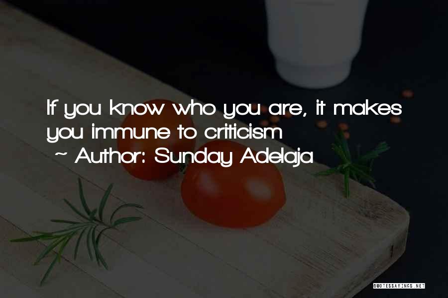 Sunday Adelaja Quotes: If You Know Who You Are, It Makes You Immune To Criticism