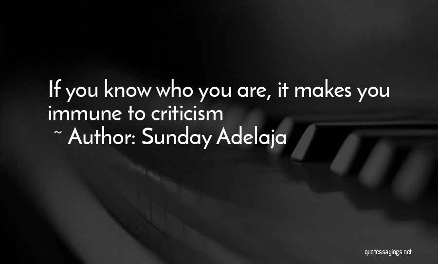 Sunday Adelaja Quotes: If You Know Who You Are, It Makes You Immune To Criticism