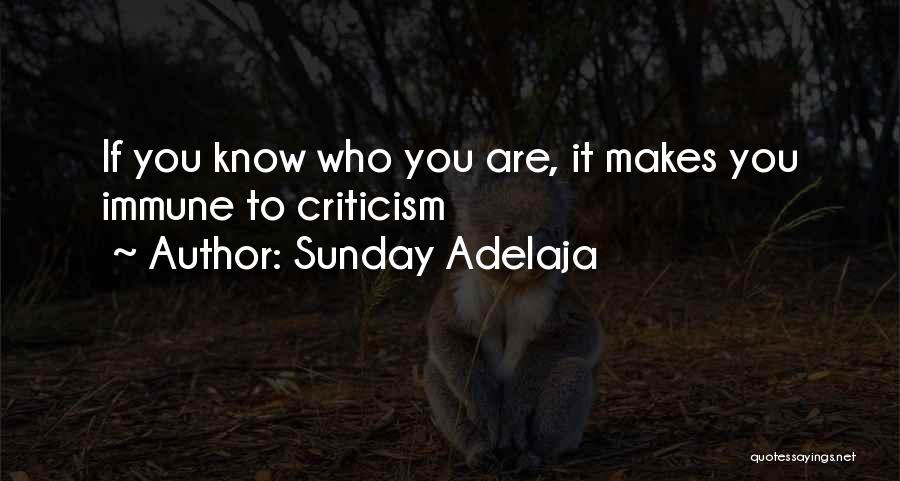 Sunday Adelaja Quotes: If You Know Who You Are, It Makes You Immune To Criticism