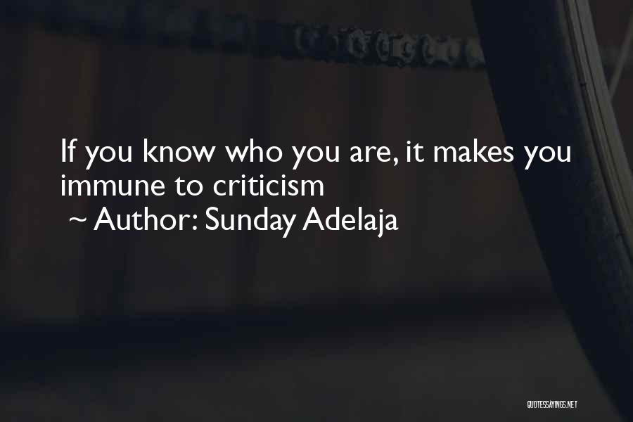 Sunday Adelaja Quotes: If You Know Who You Are, It Makes You Immune To Criticism