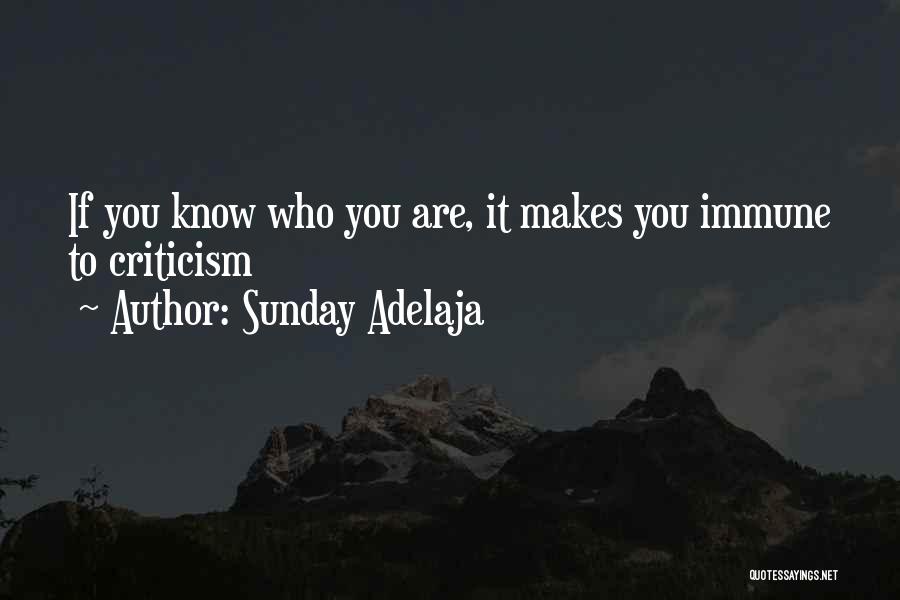 Sunday Adelaja Quotes: If You Know Who You Are, It Makes You Immune To Criticism