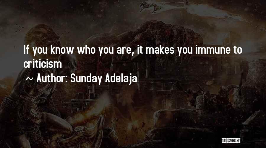 Sunday Adelaja Quotes: If You Know Who You Are, It Makes You Immune To Criticism