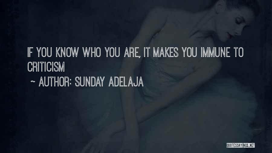 Sunday Adelaja Quotes: If You Know Who You Are, It Makes You Immune To Criticism