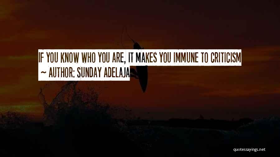 Sunday Adelaja Quotes: If You Know Who You Are, It Makes You Immune To Criticism