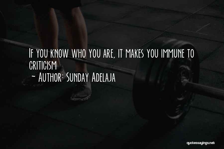 Sunday Adelaja Quotes: If You Know Who You Are, It Makes You Immune To Criticism