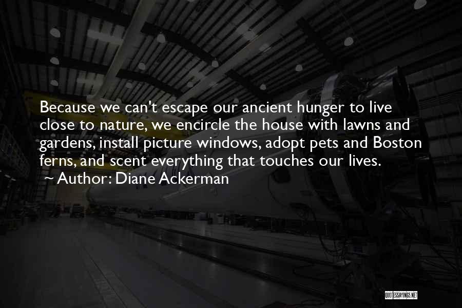 Diane Ackerman Quotes: Because We Can't Escape Our Ancient Hunger To Live Close To Nature, We Encircle The House With Lawns And Gardens,