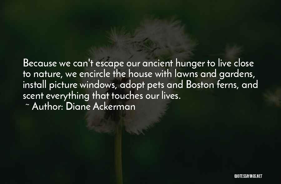 Diane Ackerman Quotes: Because We Can't Escape Our Ancient Hunger To Live Close To Nature, We Encircle The House With Lawns And Gardens,