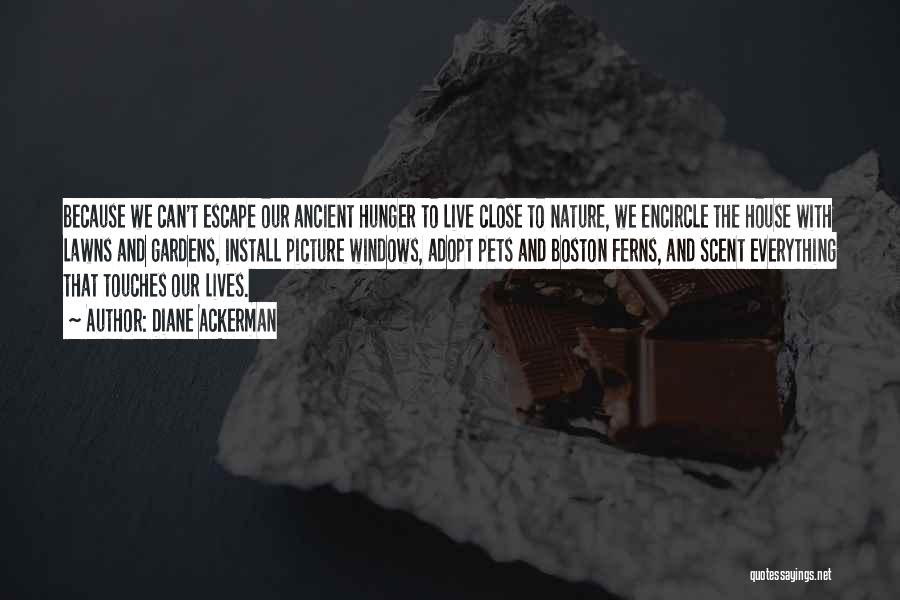Diane Ackerman Quotes: Because We Can't Escape Our Ancient Hunger To Live Close To Nature, We Encircle The House With Lawns And Gardens,