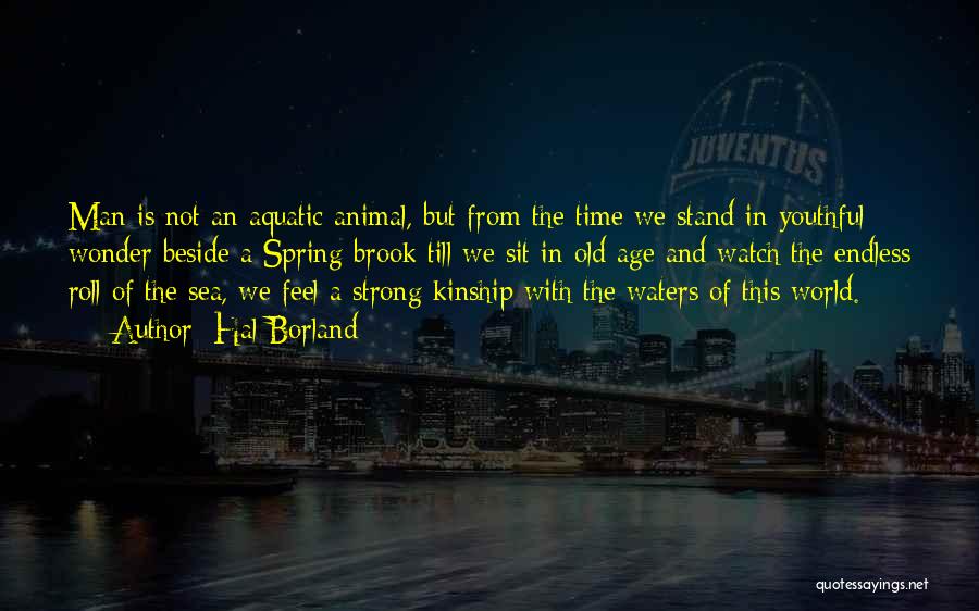 Hal Borland Quotes: Man Is Not An Aquatic Animal, But From The Time We Stand In Youthful Wonder Beside A Spring Brook Till