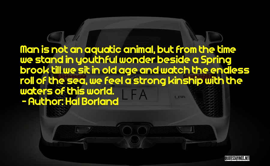 Hal Borland Quotes: Man Is Not An Aquatic Animal, But From The Time We Stand In Youthful Wonder Beside A Spring Brook Till