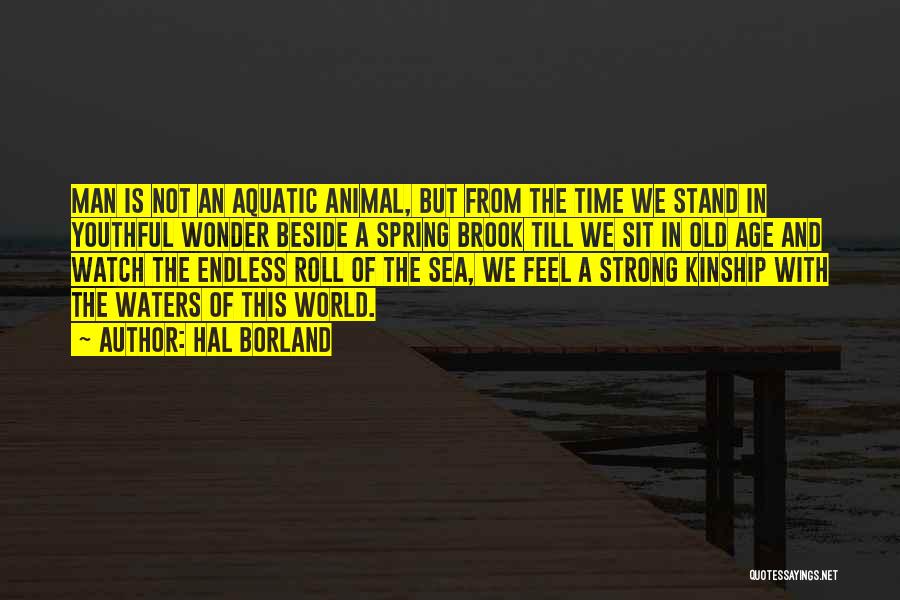 Hal Borland Quotes: Man Is Not An Aquatic Animal, But From The Time We Stand In Youthful Wonder Beside A Spring Brook Till