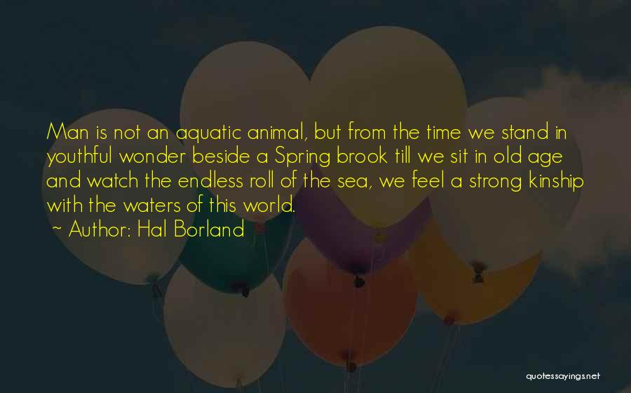 Hal Borland Quotes: Man Is Not An Aquatic Animal, But From The Time We Stand In Youthful Wonder Beside A Spring Brook Till