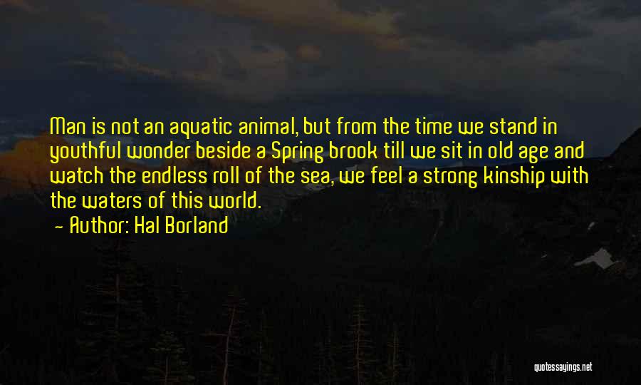 Hal Borland Quotes: Man Is Not An Aquatic Animal, But From The Time We Stand In Youthful Wonder Beside A Spring Brook Till