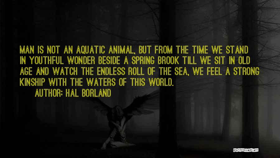 Hal Borland Quotes: Man Is Not An Aquatic Animal, But From The Time We Stand In Youthful Wonder Beside A Spring Brook Till