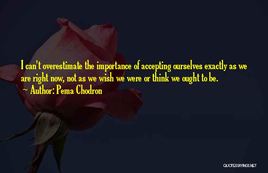 Pema Chodron Quotes: I Can't Overestimate The Importance Of Accepting Ourselves Exactly As We Are Right Now, Not As We Wish We Were