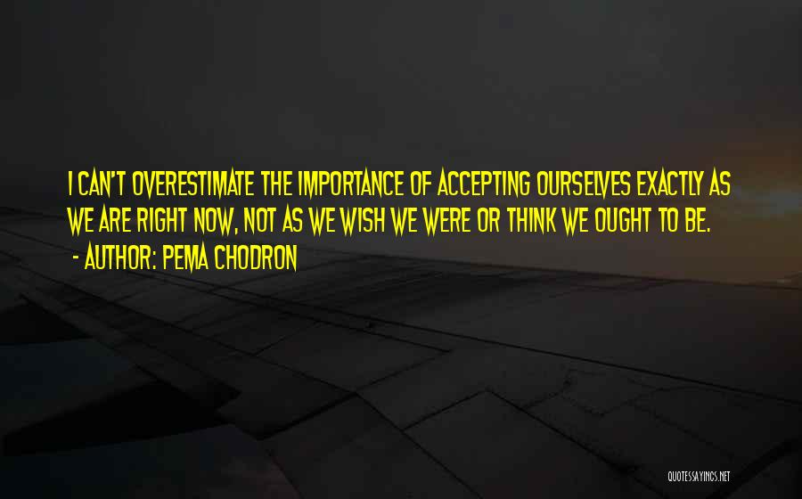 Pema Chodron Quotes: I Can't Overestimate The Importance Of Accepting Ourselves Exactly As We Are Right Now, Not As We Wish We Were