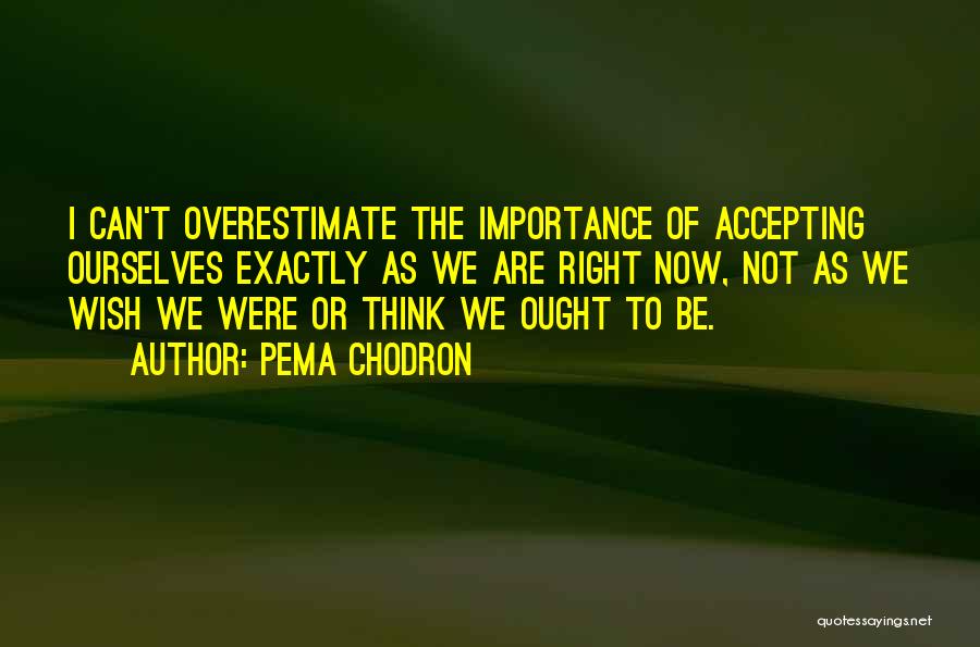 Pema Chodron Quotes: I Can't Overestimate The Importance Of Accepting Ourselves Exactly As We Are Right Now, Not As We Wish We Were