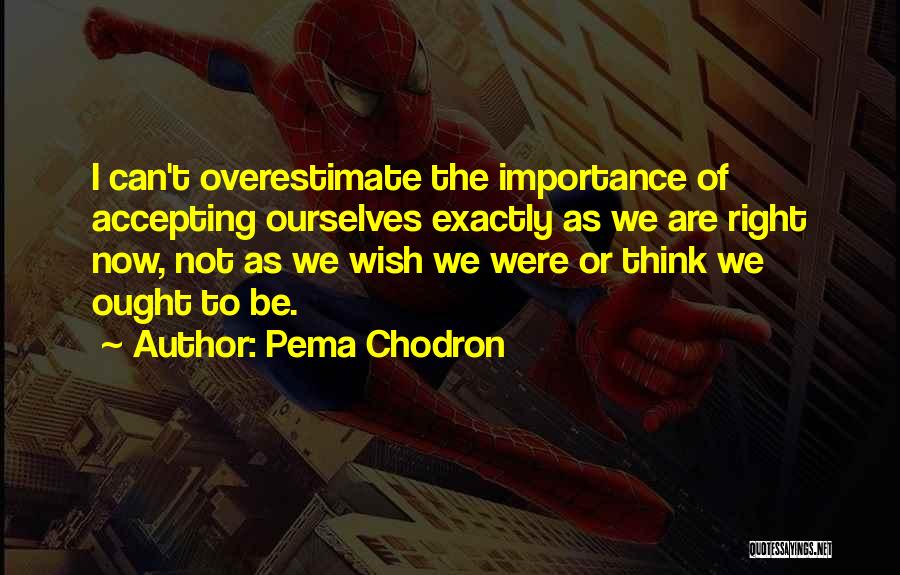 Pema Chodron Quotes: I Can't Overestimate The Importance Of Accepting Ourselves Exactly As We Are Right Now, Not As We Wish We Were