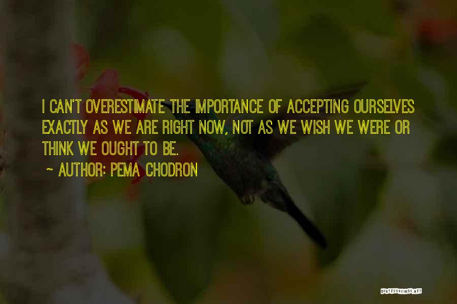 Pema Chodron Quotes: I Can't Overestimate The Importance Of Accepting Ourselves Exactly As We Are Right Now, Not As We Wish We Were