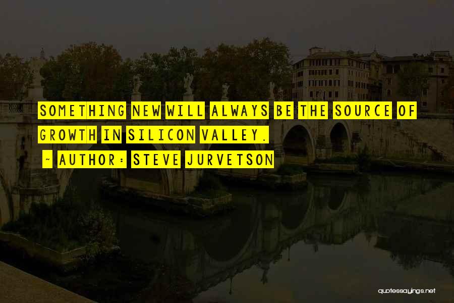 Steve Jurvetson Quotes: Something New Will Always Be The Source Of Growth In Silicon Valley.