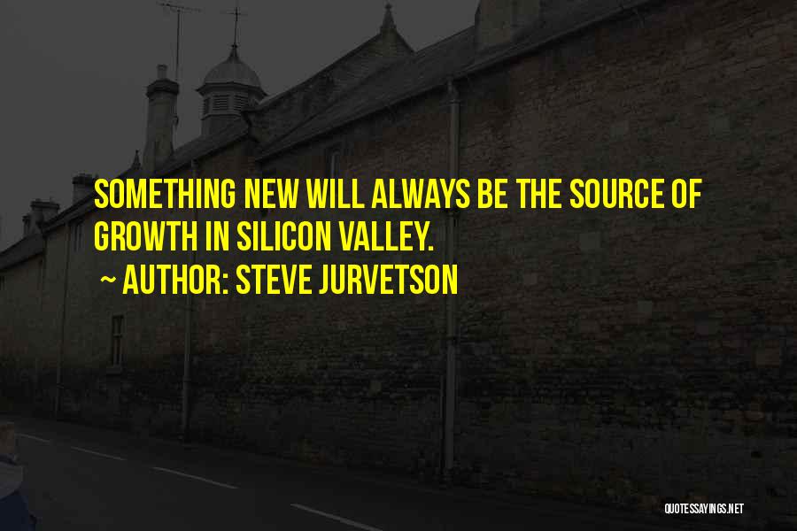 Steve Jurvetson Quotes: Something New Will Always Be The Source Of Growth In Silicon Valley.