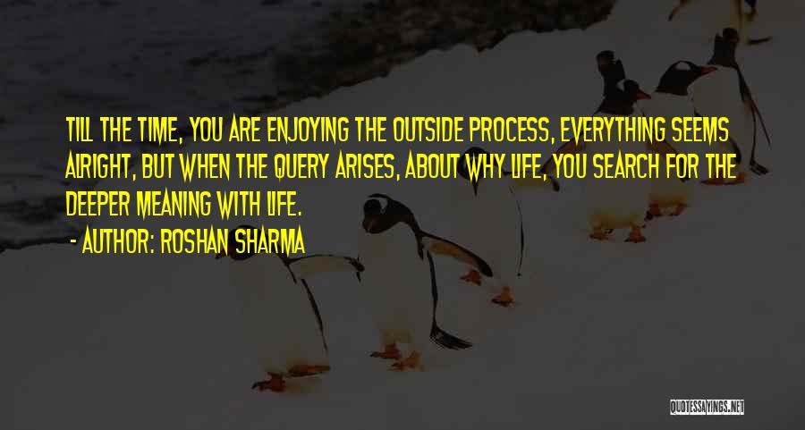 Roshan Sharma Quotes: Till The Time, You Are Enjoying The Outside Process, Everything Seems Alright, But When The Query Arises, About Why Life,