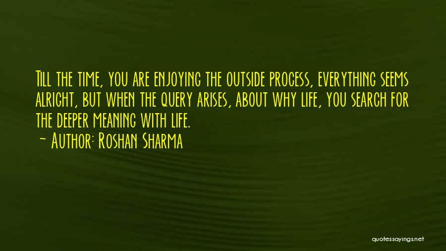 Roshan Sharma Quotes: Till The Time, You Are Enjoying The Outside Process, Everything Seems Alright, But When The Query Arises, About Why Life,