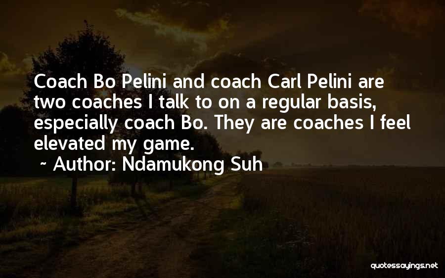 Ndamukong Suh Quotes: Coach Bo Pelini And Coach Carl Pelini Are Two Coaches I Talk To On A Regular Basis, Especially Coach Bo.